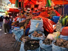 INE REPORTA INFLACIÓN NEGATIVA DE -0,62% EN FEBRERO Y LA ACUMULADA DEL AÑO LLEGA A 0,68%