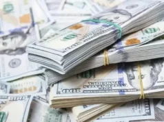 GOBIERNO ACTIVA USO LIBRE DE TARJETAS EN EL EXTERIOR Y CONSOLIDA EL TIPO DE CAMBIO REFERENCIAL