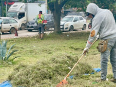 EMACRUZ EJECUTA MANTENIMIENTO DE ÁREAS VERDES EN VÍAS PRINCIPALES DE LA CAPITAL CRUCEÑA