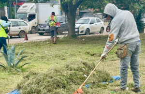 EMACRUZ EJECUTA MANTENIMIENTO DE ÁREAS VERDES EN VÍAS PRINCIPALES DE LA CAPITAL CRUCEÑA