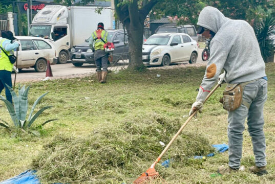 EMACRUZ EJECUTA MANTENIMIENTO DE ÁREAS VERDES EN VÍAS PRINCIPALES DE LA CAPITAL CRUCEÑA