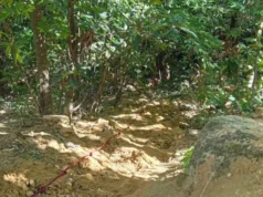 HALLAN LA CABEZA DE ROSA SOLÁ EN LA ANGOSTURA; DOS ACUSADOS FUERON ENVIADOS A PALMASOLA