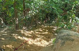 HALLAN LA CABEZA DE ROSA SOLÁ EN LA ANGOSTURA; DOS ACUSADOS FUERON ENVIADOS A PALMASOLA