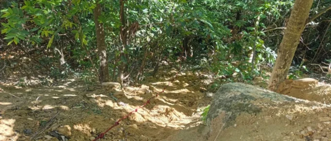 HALLAN LA CABEZA DE ROSA SOLÁ EN LA ANGOSTURA; DOS ACUSADOS FUERON ENVIADOS A PALMASOLA