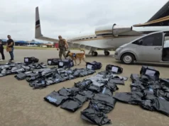 INCAUTAN 261 KILOS DE MARIHUANA ‘PREMIUM’ EN PARAGUAY Y EL CASO REAVIVA EL ESCÁNDALO DE LAS 32 MALETAS EN BOLIVIA