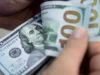 GOBIERNO APRUEBA EL TIPO DE CAMBIO FLEXIBLE Y EL BCB PUBLICARÁ LA COTIZACIÓN OFICIAL DEL DÓLAR CADA DÍA DESDE EL 29 DE JUNIO