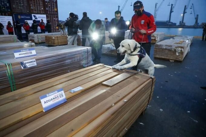 INVESTIGACIÓN EN CHILE REVELA QUE LA MAYORÍA DE LOS CARGAMENTOS DE MADERA CONTAMINADOS CON DROGA PROVENÍAN DE PANDO