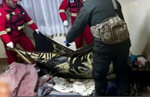 HOMBRE QUE HABÍA SIDO REPORTADO COMO FALLECIDO SORPRENDE AL “REVIVIR” ANTES DE SER TRASLADADO A LA MORGUE EN LA PAZ