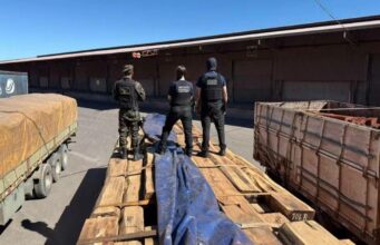 BRASIL INCAUTA 260 TONELADAS DE MADERA Y SOSPECHA QUE OCULTABAN HASTA 50 TONELADAS DE COCAÍNA EN UNA OPERACIÓN INTERNACIONAL