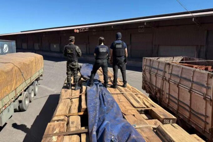 BRASIL INCAUTA 260 TONELADAS DE MADERA Y SOSPECHA QUE OCULTABAN HASTA 50 TONELADAS DE COCAÍNA EN UNA OPERACIÓN INTERNACIONAL