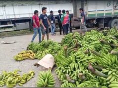 12 CAMIONES DE BANANO SON BOTADOS EN LA CARRETERA POR LOS BLOQUEOS