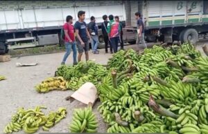12 CAMIONES DE BANANO SON BOTADOS EN LA CARRETERA POR LOS BLOQUEOS