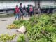 12 CAMIONES DE BANANO SON BOTADOS EN LA CARRETERA POR LOS BLOQUEOS