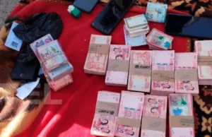 APREHENDEN A UN HOMBRE CON BS 190.000 Y BILLETES FALSOS EN UN CONTROL POLICIAL EN PAROTANI