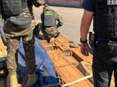 PERITAJE DE LA POLICÍA FEDERAL DE BRASIL DESCARTA PRESENCIA DE COCAÍNA EN CARGAMENTO DE MADERA BOLIVIANA RETENIDO EN LA FRONTERA