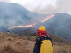 INCENDIOS FORESTALES PONEN EN JAQUE A SANTA CRUZ, COCHABAMBA Y TARIJA MIENTRAS AUTORIDADES ADVIERTEN FALTA DE RECURSOS Y CONDICIONES ADVERSAS