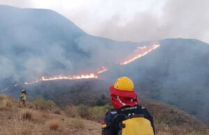 INCENDIOS FORESTALES PONEN EN JAQUE A SANTA CRUZ, COCHABAMBA Y TARIJA MIENTRAS AUTORIDADES ADVIERTEN FALTA DE RECURSOS Y CONDICIONES ADVERSAS