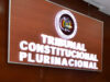 TCP ADMITE ACCIÓN DE INCONSTITUCIONALIDAD CONTRA ARTÍCULOS DE LA LEY 1740 QUE REGULA EL ESTADO DE EXCEPCIÓN