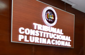 TCP ADMITE ACCIÓN DE INCONSTITUCIONALIDAD CONTRA ARTÍCULOS DE LA LEY 1740 QUE REGULA EL ESTADO DE EXCEPCIÓN