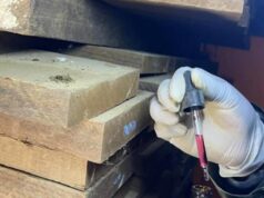 GOBIERNO CUESTIONA DENUNCIA SOBRE SUPUESTAS 108 TONELADAS DE DROGA EN CARGAMENTOS DE MADERA BOLIVIANA
