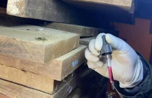 GOBIERNO CUESTIONA DENUNCIA SOBRE SUPUESTAS 108 TONELADAS DE DROGA EN CARGAMENTOS DE MADERA BOLIVIANA