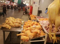 PRECIO DEL POLLO SE DISPARA Y AVICULTORES ADVIERTEN UNA MENOR PRODUCCIÓN POR EFECTO DE LOS BLOQUEOS