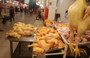 PRECIO DEL POLLO SE DISPARA Y AVICULTORES ADVIERTEN UNA MENOR PRODUCCIÓN POR EFECTO DE LOS BLOQUEOS