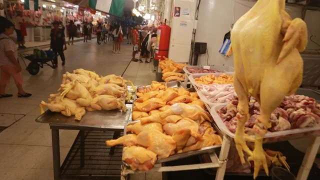 pollo-2-jpg