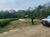 SECUESTRAN A HOMBRE EN IVIRGARZAMA CUANDO INTENTABA COMPRAR UN VEHÍCULO Y LE ROBAN BS 46.000