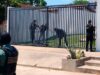 APREHENDEN A UNA MUJER PARAGUAYA TRAS ALLANAMIENTOS POR EL ACRIBILLAMIENTO DE DOS BRASILEÑOS EN WARNES